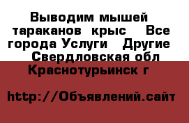 Выводим мышей ,тараканов, крыс. - Все города Услуги » Другие   . Свердловская обл.,Краснотурьинск г.